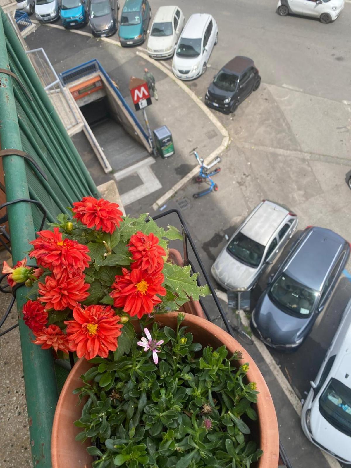 Myhomeinrome - Zona Re Di Apartment Rome